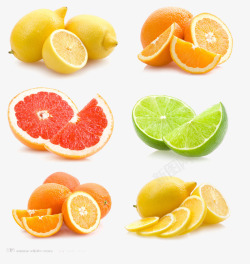 手绘橙子切片水果组图高清图片