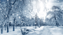 创意摄影合成冬天的森林树木海报素材