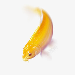 锦里金龙鱼图案高清图片