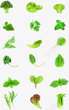 爱心形状绿色生态果园蔬菜图形标识图标图标