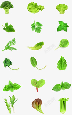 绿色菜叶绿色生态果园蔬菜图形标识图标高清图片
