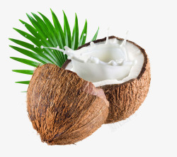 椰子汁广告椰子椰子汁水果高清图片