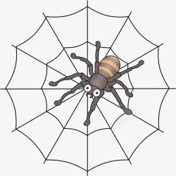 动物蜘蛛蜘蛛蛛网动物卡通高清图片