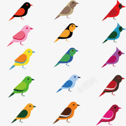 多彩鸟类鸟矢量图高清图片