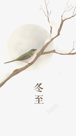 插画雪树枝上的小鸟高清图片