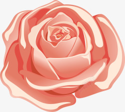精美矢量图案粉色玫瑰高清图片
