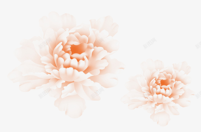 半透明的粉色牡丹花png免抠素材_88icon https://88icon.com 半透明 牡丹花 粉牡丹 粉色 花卉 花朵