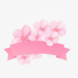 矢量丝带配樱花粉色樱花和丝带高清图片