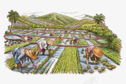 水彩农地种植水稻插秧图画素材