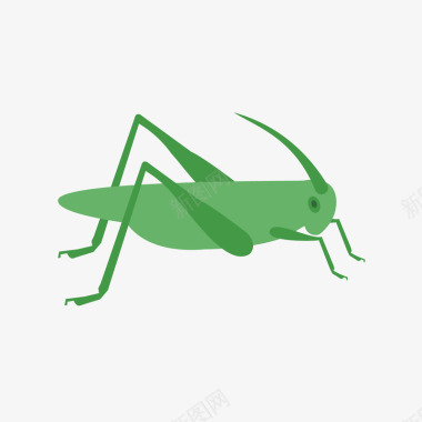 动物绿色跳跃蚂蚱图标矢量图图标