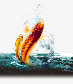 金鱼跳跃出水面素材