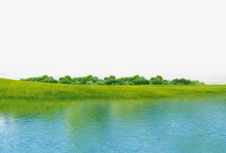 大树和小草大自然绿色河流高清图片