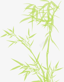 粽子节绿色水彩竹子竹叶素材