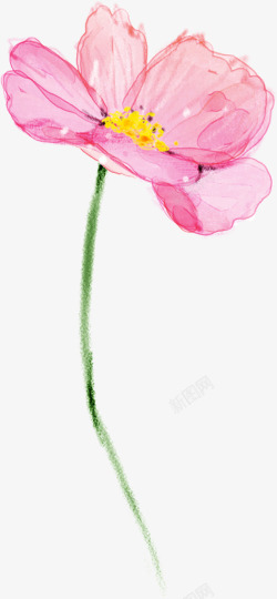 天水手绘粉色花卉春天水彩高清图片