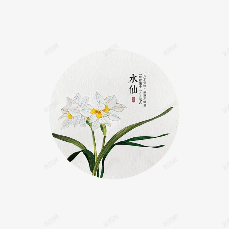 装饰水仙png免抠素材_88icon https://88icon.com 唯美 圆形 扇子 手绘水仙 植物 水仙 清新 白色 花朵