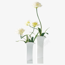 白色花瓶白色花瓶高清图片