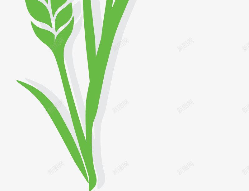 绿色为成熟的稻谷png免抠素材_88icon https://88icon.com 农田 卡通 大米 小米穗 水稻 稻田 稻谷 米穗 绿色 麦子 麦穗