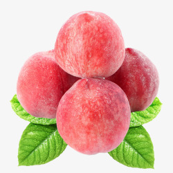 新鲜的桃子产品实物桃子鲜桃高清图片
