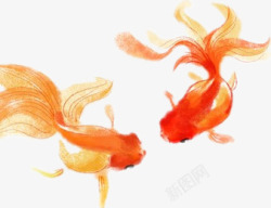 两条麻花辫两条金鱼装饰高清图片