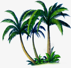 夏日植物沙滩海边椰子树素材