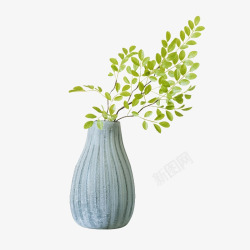 韩式斑纹叶仿真植物绿植高清图片