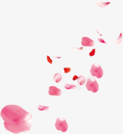 飘散粉色红色花瓣七夕情人节素材