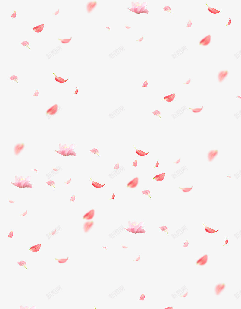 漂浮植物粉色模糊花瓣png免抠素材_88icon https://88icon.com 植物 模糊 漂浮 粉色 花瓣