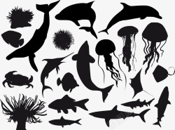 海洋生物剪影鲨鱼水母螃蟹素材