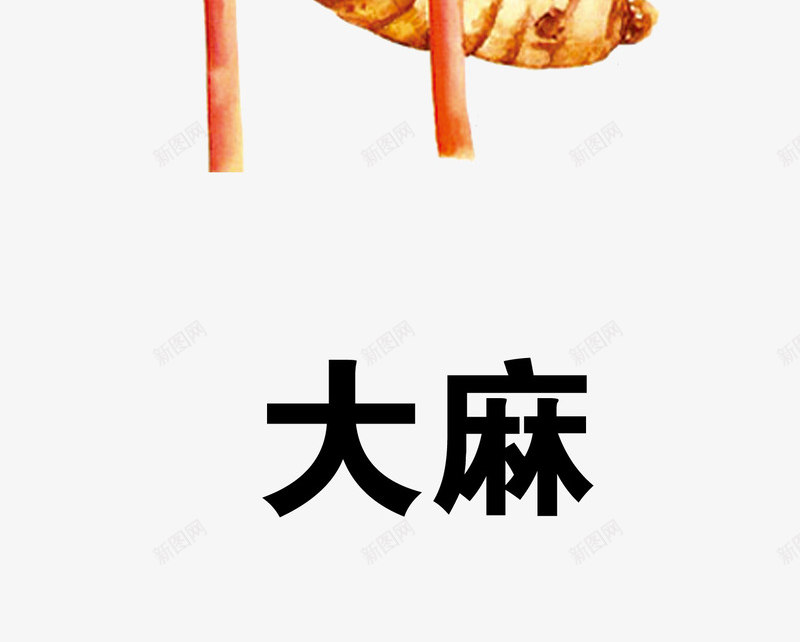 大麻png免抠素材_88icon https://88icon.com 中药 医疗保健 本草纲木 百草 草药 药材