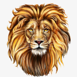 手绘狮子狮子高清图片