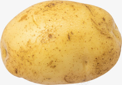 土豆蔬菜一个土豆高清图片