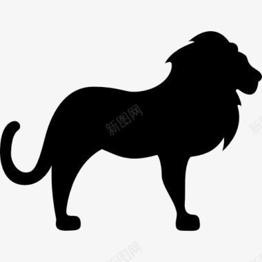 纯野生狮子面对权利图标图标