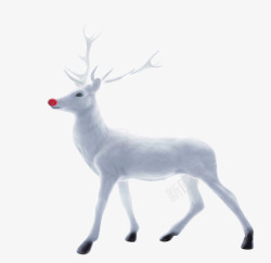 红色简洁麋鹿鹿白色的梅花鹿高清图片
