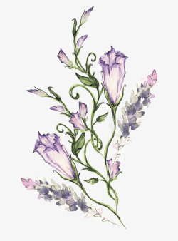 手绘紫色喇叭花装饰素材