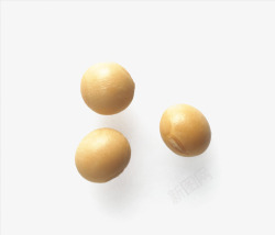 散落3粒散落的大黄豆高清图片