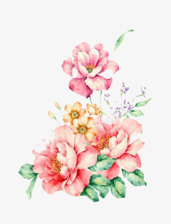 花卉背景图案手绘花卉高清图片