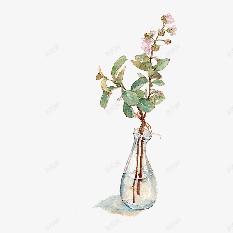 插在花瓶的一只盛开的花png免抠素材_88icon https://88icon.com 插花 水 花瓶 鲜花
