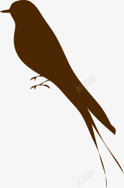 鸟燕子棕色素材