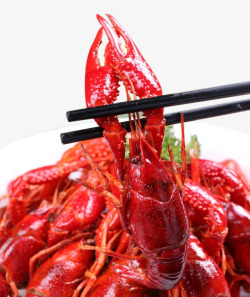 有食欲新鲜红亮的美味小龙虾高清图片