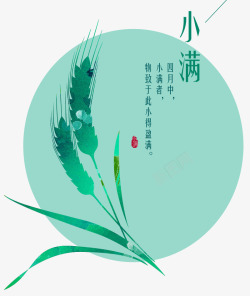 中国风二十四节气小满传统节日农素材