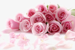 严禁堆放堆放在桌子粉色玫瑰花高清图片