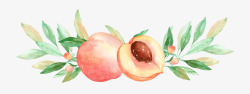 好看的水彩桃子水彩风桃子枝叶高清图片