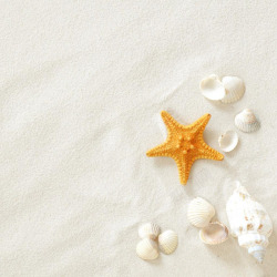 海螺与沙子图片沙滩海星高清图片