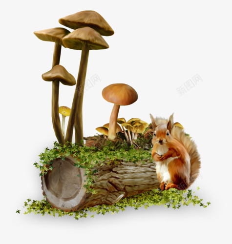 蘑菇和小松鼠png免抠素材_88icon https://88icon.com 松鼠 森林 植物 蘑菇