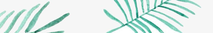 棕榈叶png免抠素材_88icon https://88icon.com 手绘图案 手绘背景底纹 服装印刷图案 树叶 树叶纹理 棕榈 棕榈叶 热带风情