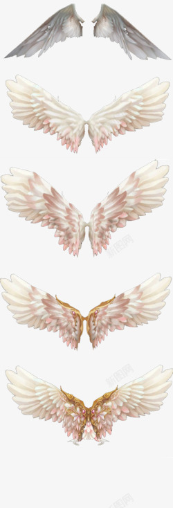 蝴蝶天使之翼翅膀高清图片