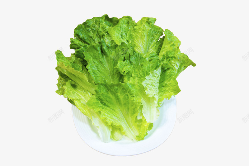 标题生菜蔬菜png免抠素材_88icon https://88icon.com 俯视 室内 新鲜 无人 植物 爱心蔬菜 特写 生菜 素菜 绿叶 绿色叶子 菜类图片 蔬菜