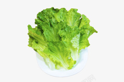 新鲜的生菜标题生菜蔬菜高清图片