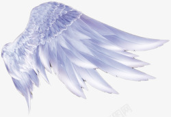 装饰羽毛天使的翅膀高清图片