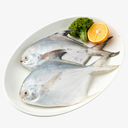 海鲜野生鲳鱼素材